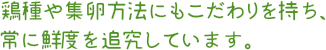 鶏種や集卵方法にもこだわりを持ち、常に鮮度を追究しています。