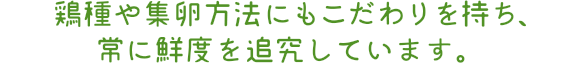 鶏種や集卵方法にもこだわりを持ち、常に鮮度を追究しています。